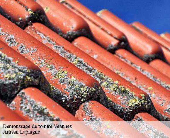 Demoussage de toiture  veaunes-26600 Artisan Laplagne
