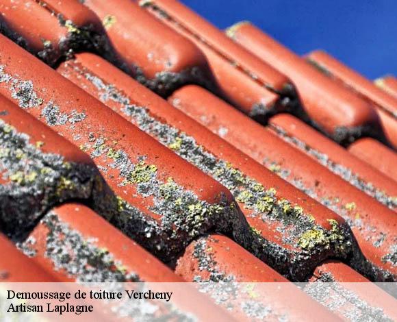 Demoussage de toiture  vercheny-26340 Artisan Laplagne