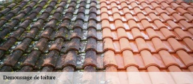 Demoussage de toiture  granges-les-beaumont-26600 Artisan Laplagne