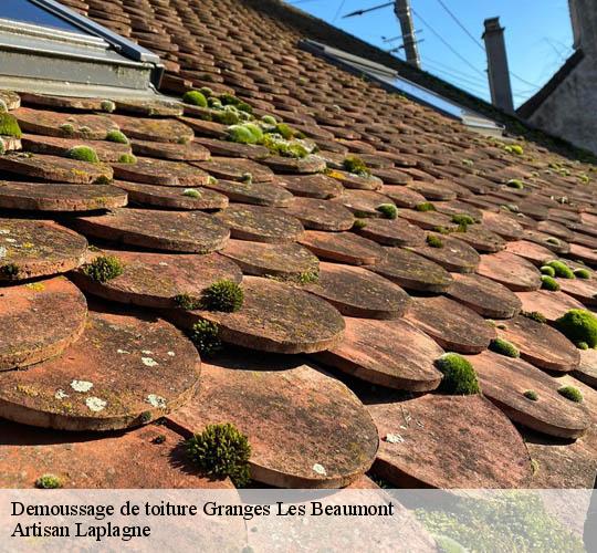 Demoussage de toiture  granges-les-beaumont-26600 Artisan Laplagne