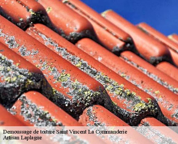 Demoussage de toiture saint-vincent-la-commanderie-26300 Artisan Laplagne