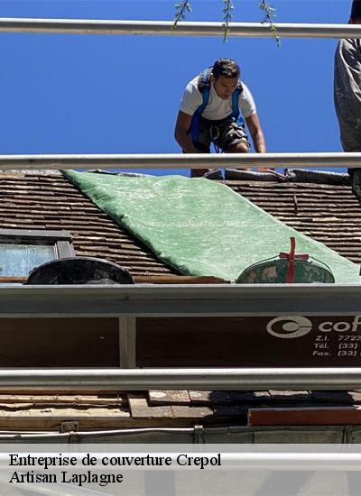 Entreprise de couverture  crepol-26350 Artisan Laplagne