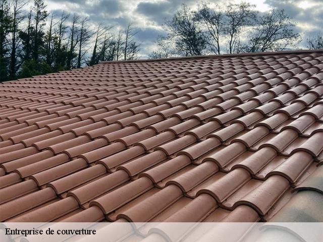 Entreprise de couverture  poyols-26310 Artisan Laplagne