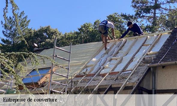 Entreprise de couverture  saint-pantaleon-les-vignes-26770 Artisan Laplagne