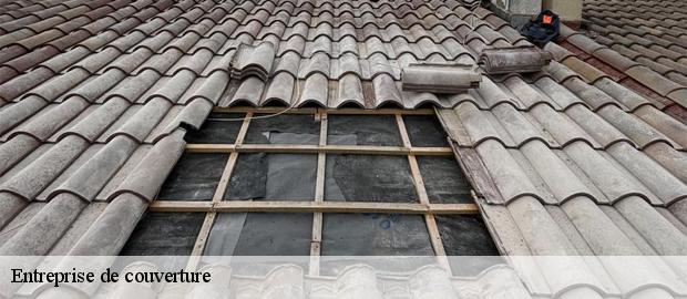 Entreprise de couverture  saint-restitut-26130 Artisan Laplagne
